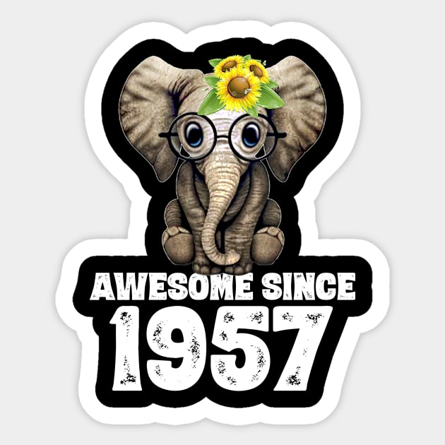 Awesome since 1957 63 Years Old Bday Gift 63th Birthday Sticker by DoorTees